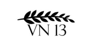 VN 13