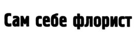 Сам себе флорист