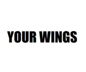 YOUR WINGS