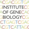 INSTITUTE OF GENE BIOLOGY