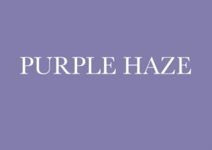 PURPLE HAZE