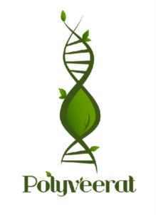 Polyveerat