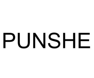PUNSHE