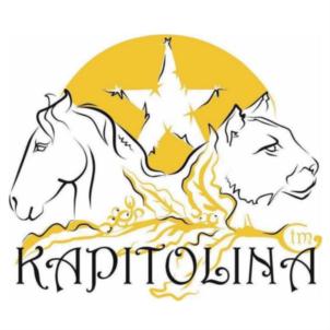 Товарный знак № 879954