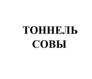 ТОННЕЛЬ СОВЫ