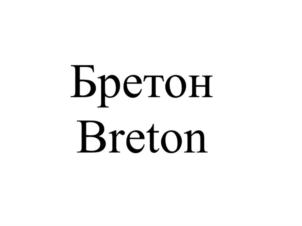 Бретон Breton