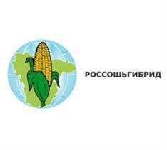 Товарный знак № 883181
