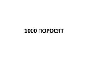 1000 ПОРОСЯТ