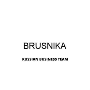 BRUSNIKA RUSSIAN BUSINESS TEAM