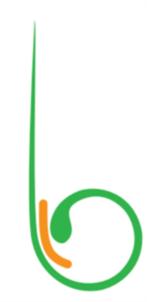 Товарный знак № 886084