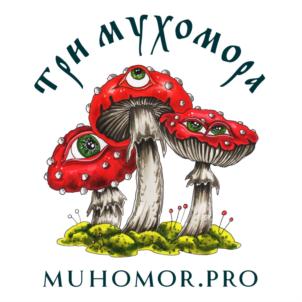 Товарный знак № 888985