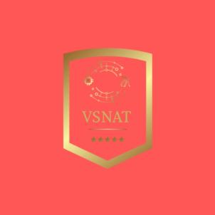 VSNAT
