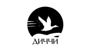 ДИЧЧИ