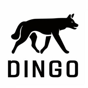 DINGO
