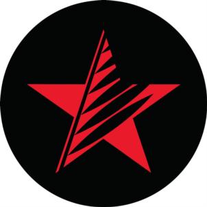 Товарный знак № 906245