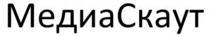 МедиаСкаут