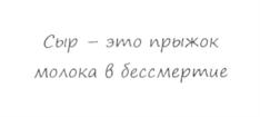 Товарный знак № 913384
