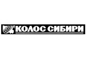 Товарный знак № 913527