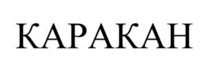 Товарный знак № 916095