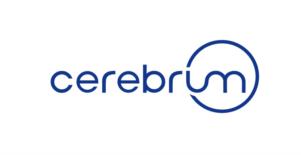 cerebrum