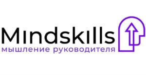 Mindskills мышление руководителя