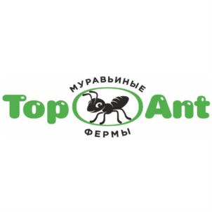 Top Ant МУРАВЬИНЫЕ ФЕРМЫ