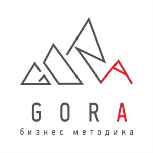 GORA бизнес методика
