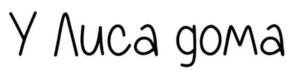У Лиса дома