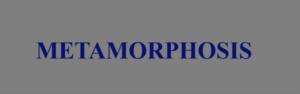 METAMORPHOSIS