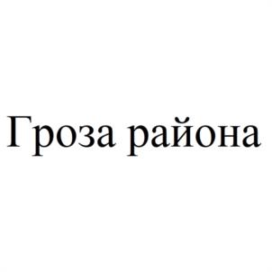 Гроза района