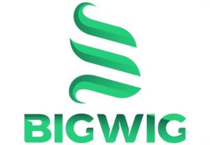 BIGWIG