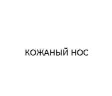 КОЖАНЫЙ НОС