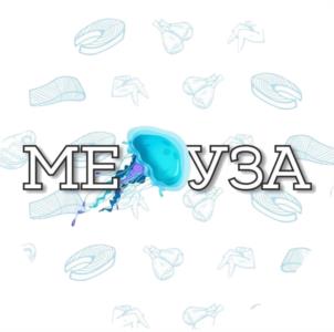 МЕДУЗА