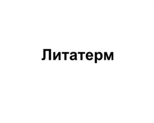 Товарный знак № 951424
