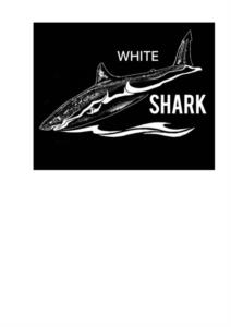 WHITE SHARK