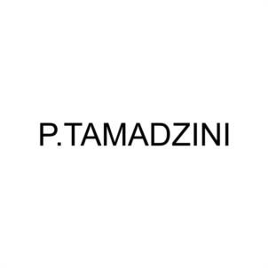 P.TAMADZINI