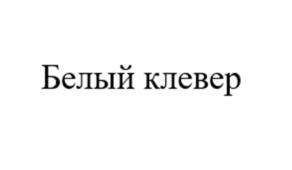 Белый клевер