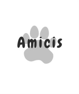 Amicis