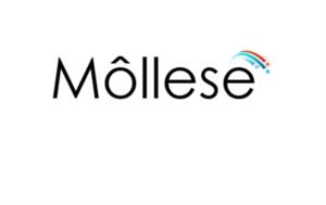 Möllese
