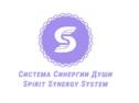 Система Синергии Душ Spirit Synergy System
