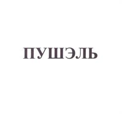 ПУШЭЛЬ