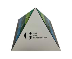 THE GAP PARTNERSHIP