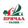 ПРИЧАЛ РАЗИН