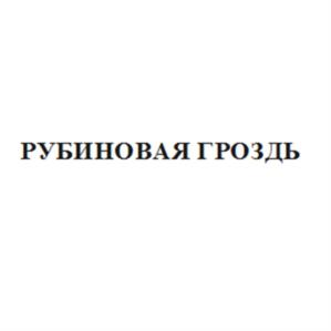 Товарный знак № 972849