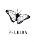 PELEIDA