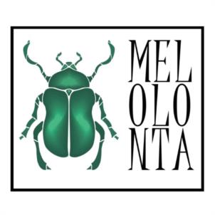 MELOLONTA