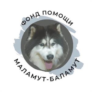 ФОНД ПОМОЩИ МАЛАМУТ-БАЛАМУТ