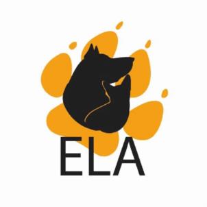 ELA