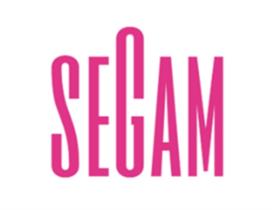 SEGAM