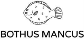 BOTHUS MANCUS